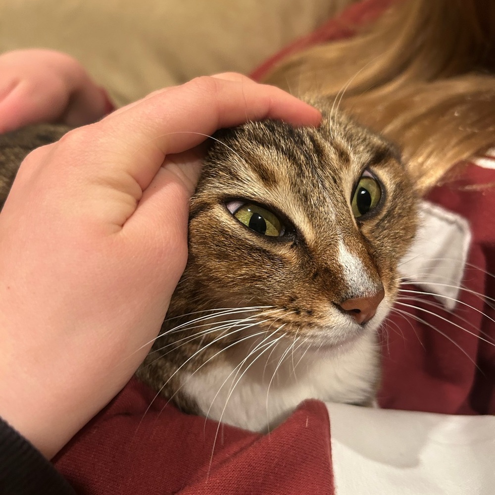 Meet your Posher, Hufflepuff